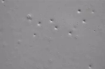 漆面鱼眼是什么意思？