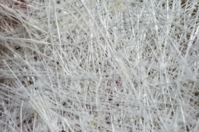 了解玻璃纤维(Glass Fibre/Fiberglass)
