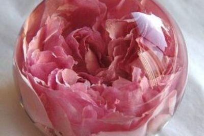 浇注环氧树脂 – 透明聚酯浇注树脂教程