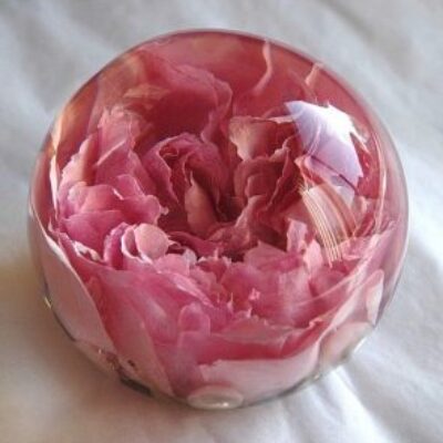 浇注环氧树脂 - 透明聚酯浇注树脂教程