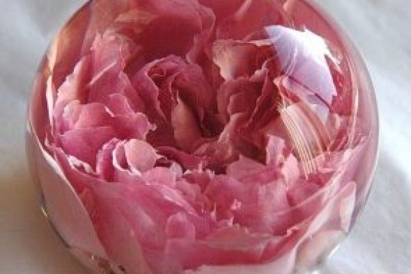 浇注环氧树脂 - 透明聚酯浇注树脂教程