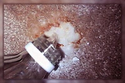 5种去除地毯上的胶水方法