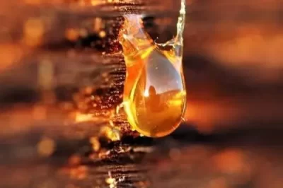 为什么树脂对环境有害（树脂对环境的危害）