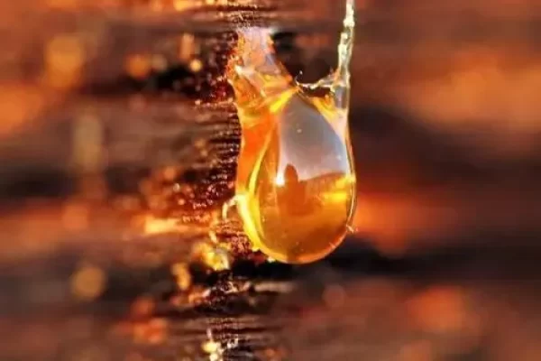 为什么树脂对环境有害（树脂对环境的危害）