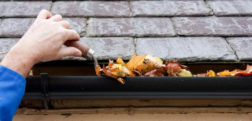gutter-with-leaves