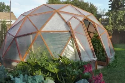 木制温室的优缺点是什么？