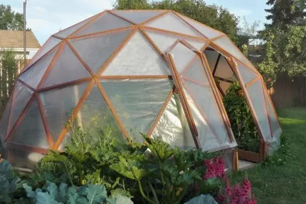 木制温室的优缺点是什么？