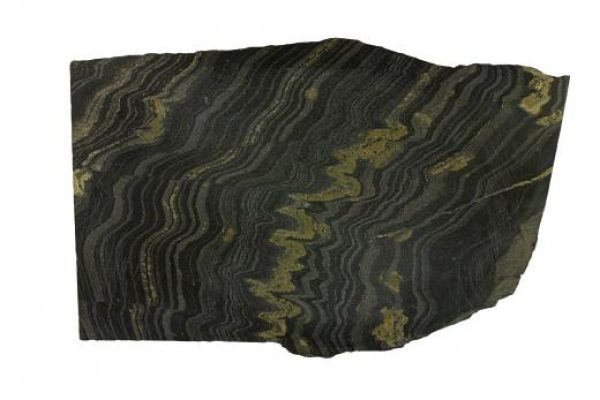 原材料加工涉及什么？