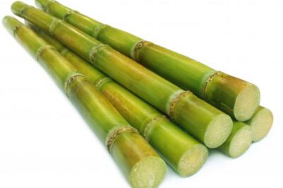 纸张的原材料有哪些不同？