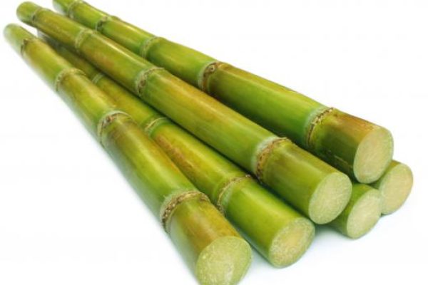 纸张的原材料有哪些不同？