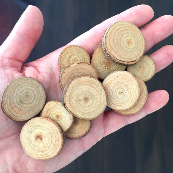 wood-slices-e1595424509895