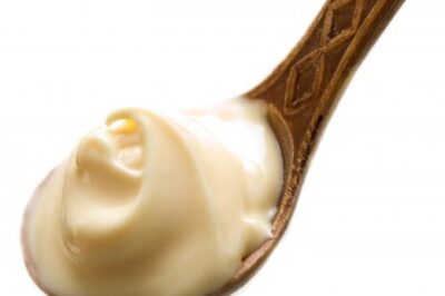 蛋黄酱是一种乳液。