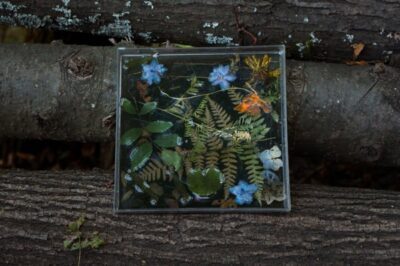 聚酯树脂与环氧树脂相比如何？