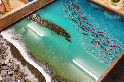 环氧树脂过热剧烈固化的最常见原因