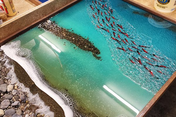 环氧树脂过热剧烈固化的最常见原因