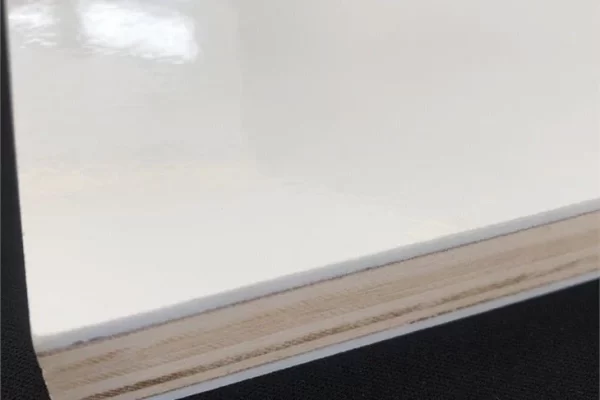 如何评估易打磨胶衣涂层的耐久性和耐磨性？