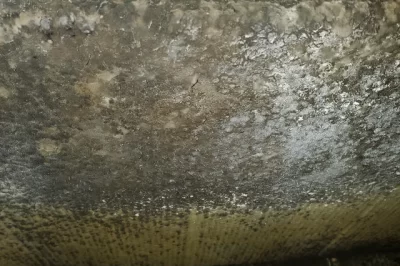 玻璃钢风管壁厚