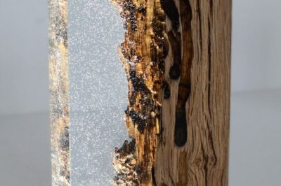 哪些树脂种类具有良好的耐腐蚀性？