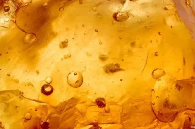 如何预防树脂中产生气泡？