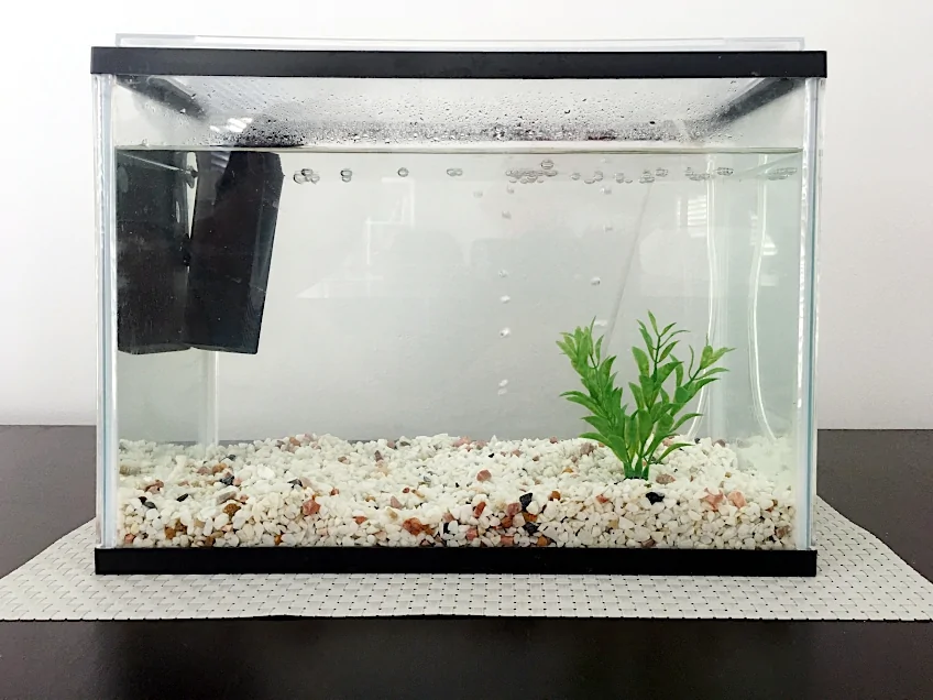 水族箱胶水 – 鱼缸安全粘合剂
