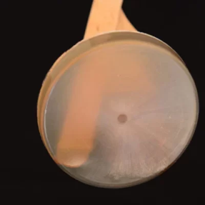 为什么我的树脂变黄了？