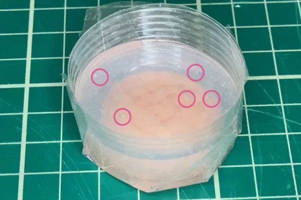 去除/消除硅橡胶气泡的最佳方法