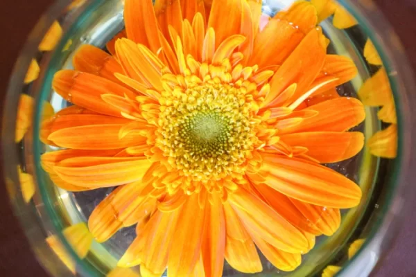 如何制作 3D 树脂花杯垫？