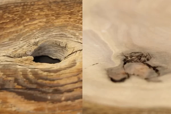 在涂抹环氧树脂之前，我需要先填补木头上的孔吗？