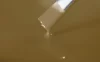 RAL1011 棕米色 环氧色浆