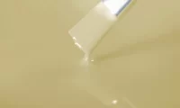 RAL1014 象牙色 环氧色浆